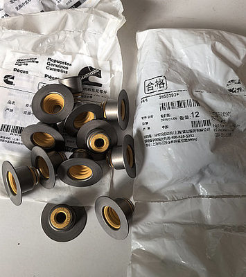Cummins 6D107 Valve oil seal 3955393