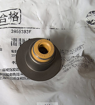 Cummins 6D107 Valve oil seal 3955393